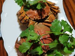 -呼吸森林·生态农庄农家乐私房菜