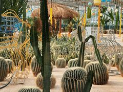 -南宫五洲植物乐园