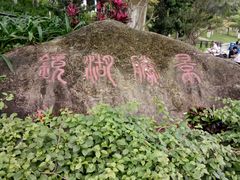 -东莞植物园