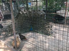 -意大利农场西餐厅(顺义店)