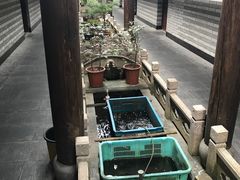 -唔呶喔哩酒家(生产街店)