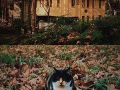 -T80科技文化国际社区-停车场