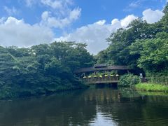 -济州森林小火车生态公园