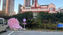 点击看大图 -禾丽康美医疗美容医院