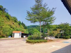 -广州白江湖森林公园