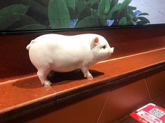 -猪角·闽南猪脚饭(茶亭店)