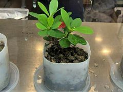 -茉沏(万科美好广场店)