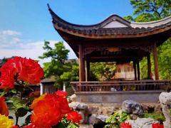 -芥子园