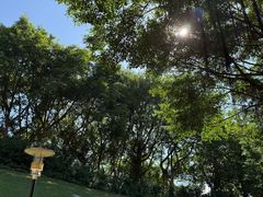 -深圳国际园林花卉博览园