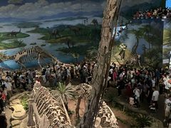 -自贡恐龙博物馆