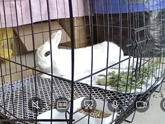-联合动物医院(光谷诊疗中心)