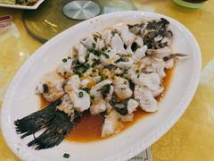 -台山美食一绝阿四台山黄鳝饭(阿四创作店)