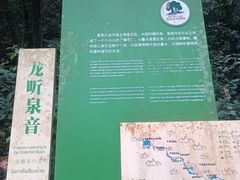 -莫里热带雨林景区