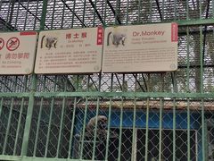-秦皇岛野生动物园
