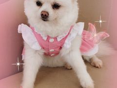 -怪兽屋·羊驼·猫咖·狗咖(俊华广场店)