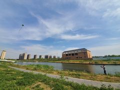 -新江湾城公园