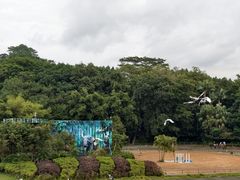 -深圳野生动物园