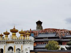 -上海东林寺(金山区)