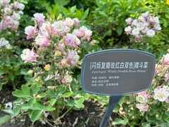 -国家植物园