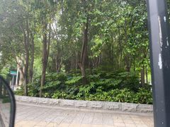 -洛阳市隋唐城遗址植物园