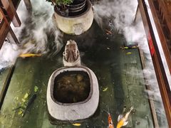 -三只耳火锅(宽窄巷子店)