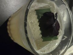 -Mx.cocktail bar