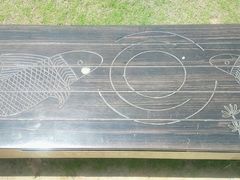 -盘龙城国家考古遗址公园