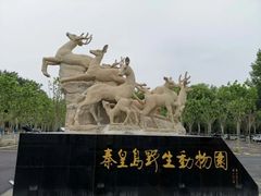 -秦皇岛野生动物园