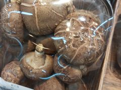 花菇-果蔬好(江南赋店)