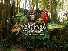 -奥兰多迪士尼动物王国乐园