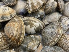 -山海关清和浑锅店