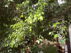 -忆江南·生态餐饮宴会酒店