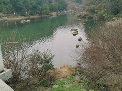 -花溪公园