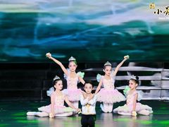 -小荧星艺校(浦东中环分校)