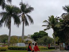 -金砂公园