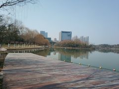 -天鹅湖体育公园