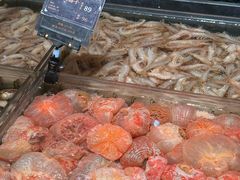 -浩运·海鲜青岛菜·海胆水饺(石老人店)