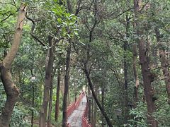 -南国桃园旅游度假区