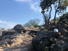 -紫金山山顶公园