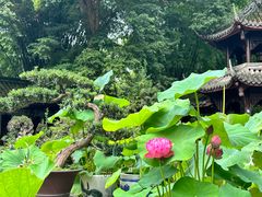 -成都杜甫草堂博物馆