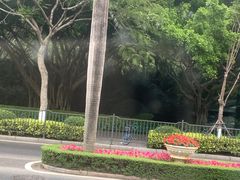 -白鹭洲公园