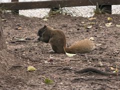 -杭州湖滨银泰in77