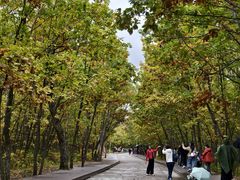 -茅兰沟国家森林公园