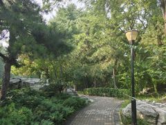 -玲珑塔公园