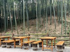 -天目湖山水园