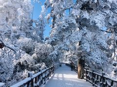 -瓦屋山景区