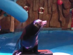 -烟台海昌鲸鲨海洋公园