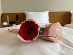 -苏州古运河逸衡酒店