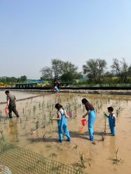 -浅山蜜塘奇妙乐园·亲子营地