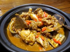 甲鱼牛蛙锅-洪湘记川湘·甲鱼馆(四海凯悦美食广场店)